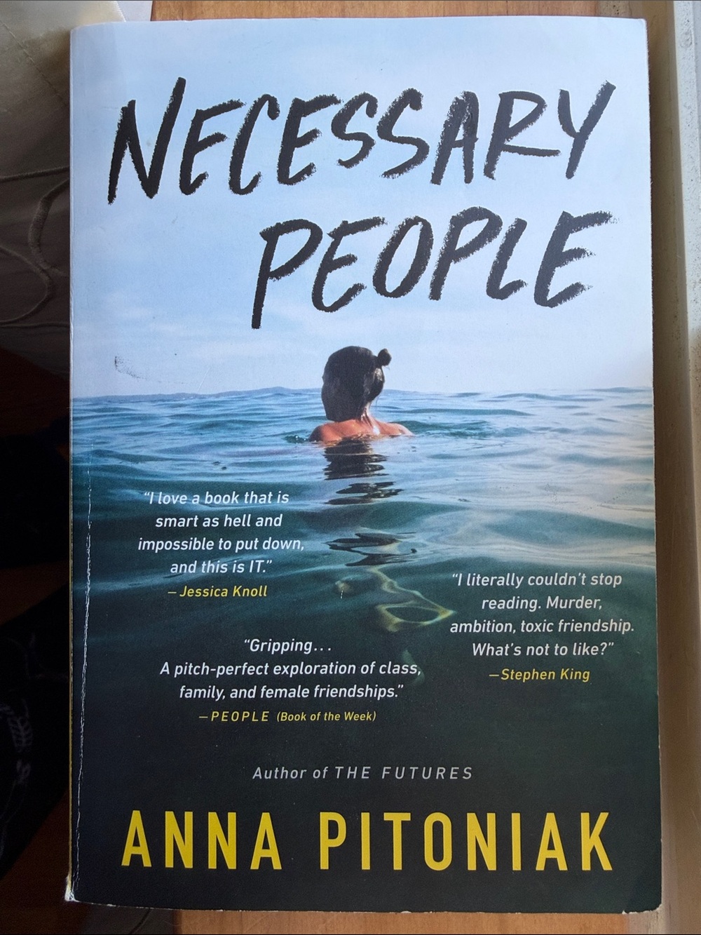 Necessary People by Anna Pitoniak Novel